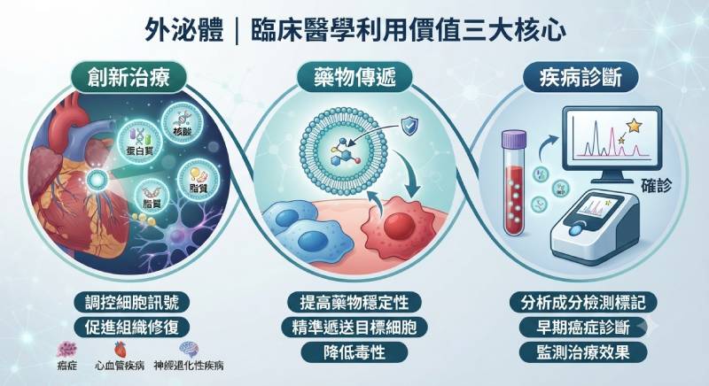 外泌體臨床醫學應用圖解：涵蓋疾病治療、精準藥物傳遞與早期疾病診斷三大價值。