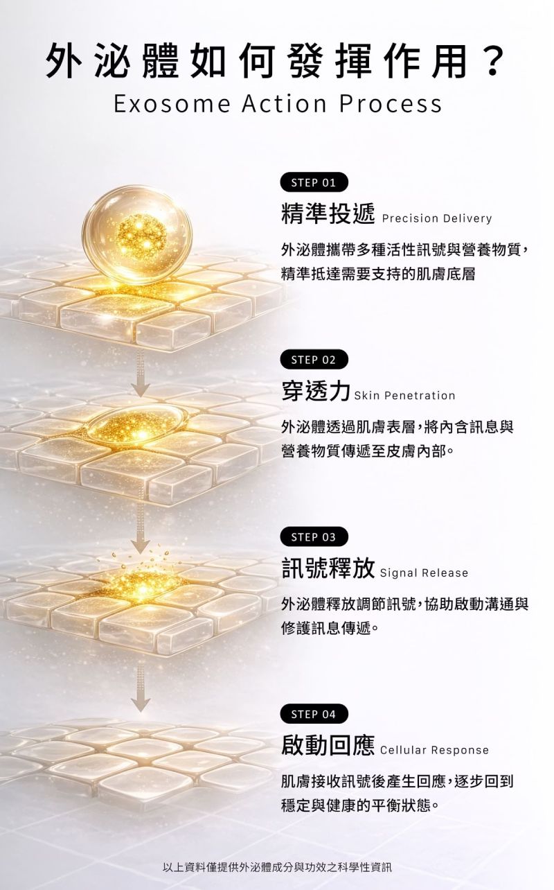諾亞外泌體恆采臉部精華液作用機轉，精準投遞、深層穿透與啟動肌膚修護