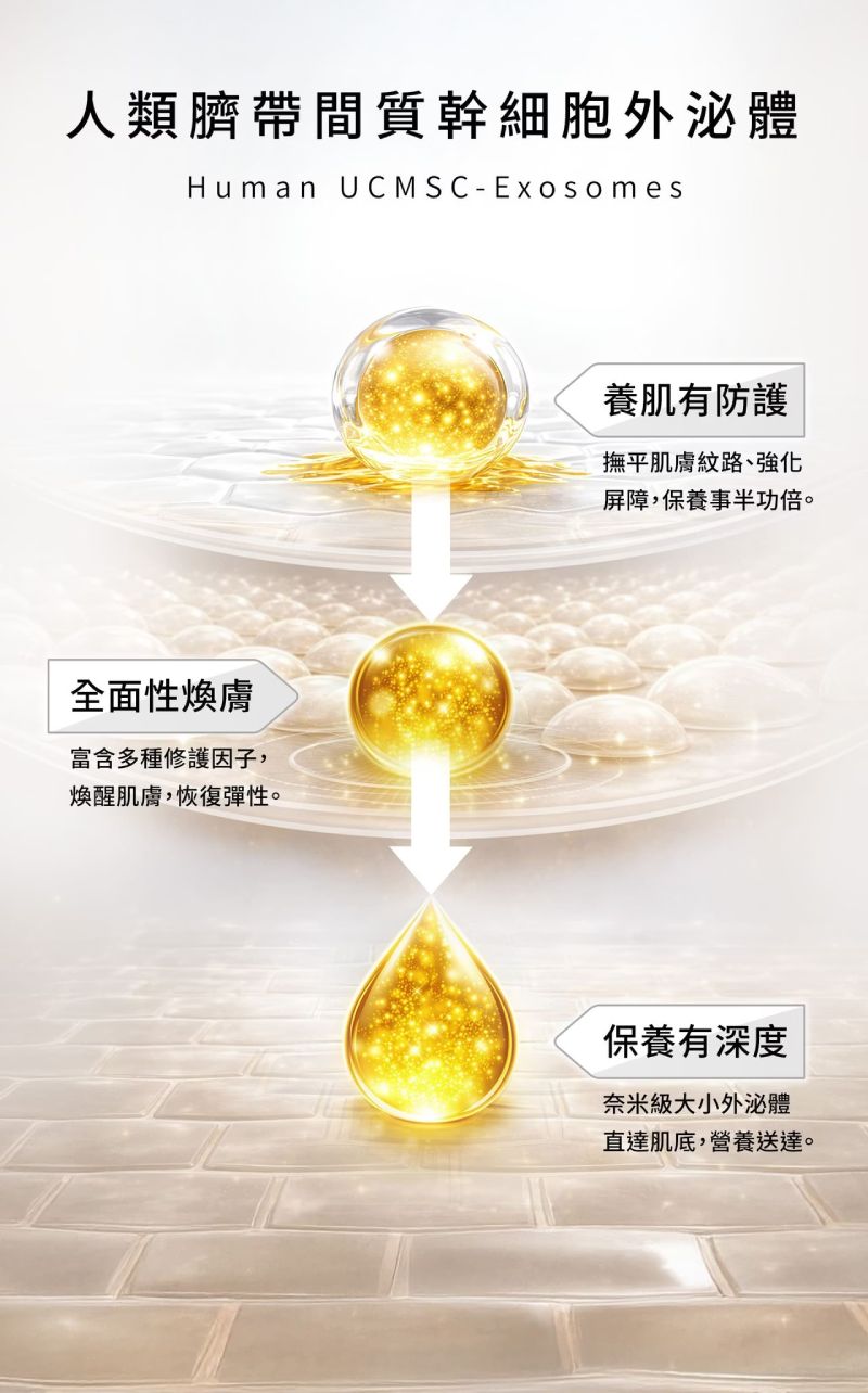 人類臍帶間質幹細胞外泌體，深層保養、全面性煥膚並強化肌膚屏障